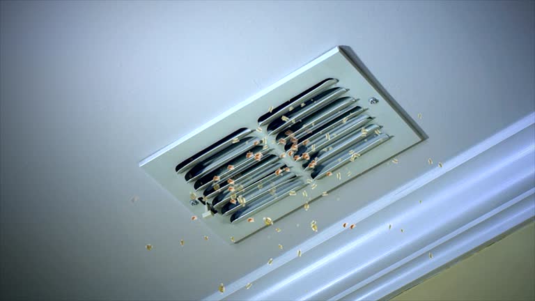 Best Best Air Duct Cleaning Company  in Montesano, WA